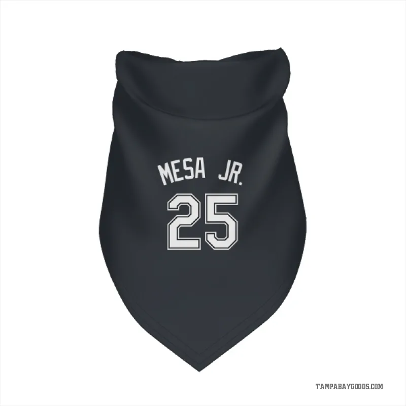 Victor Mesa Jr.  Black Tampa Bay Rays  Cat & Dog Pet Bandana