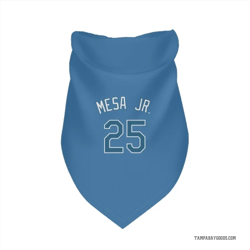 Victor Mesa Jr.  Light Blue Tampa Bay Rays  Cat & Dog Pet Bandana